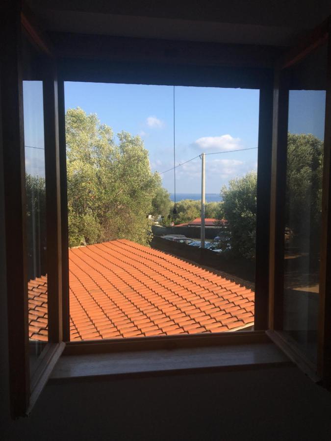 Casa Vacanza Maria Antonieta Marina di Camerota Ngoại thất bức ảnh