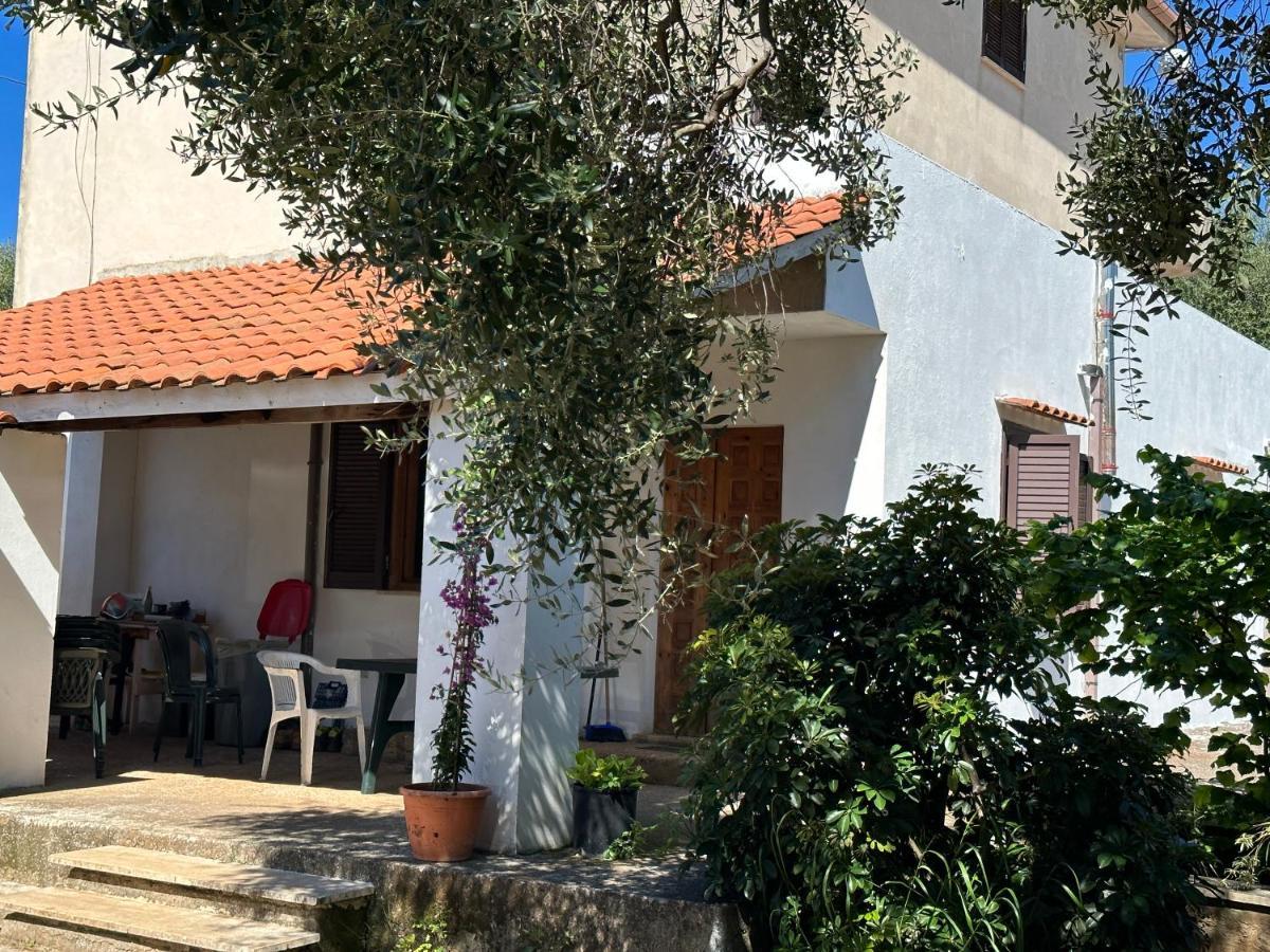 Casa Vacanza Maria Antonieta Marina di Camerota Ngoại thất bức ảnh